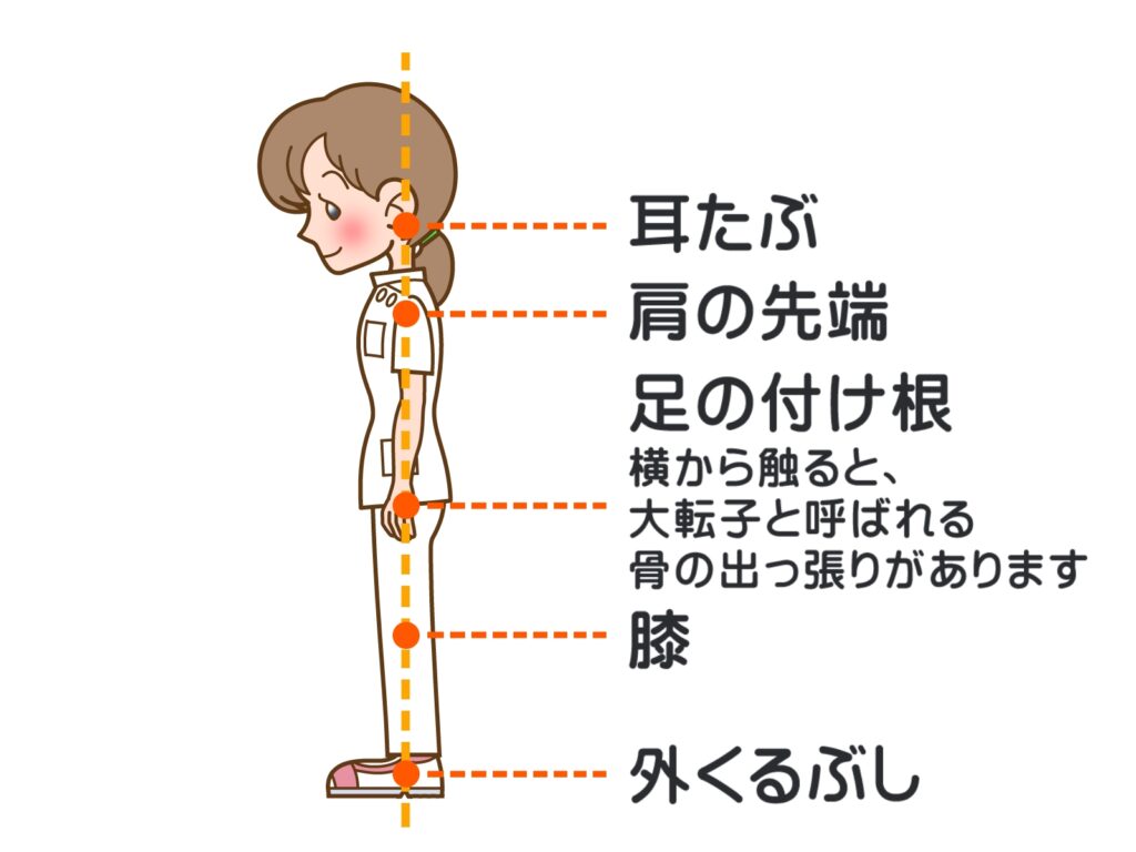 姿勢矯正する柔道整復師のいる整骨院