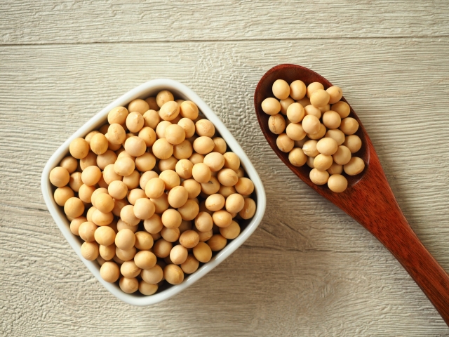 筋肉に大切な大豆から作られるソイプロテイン